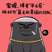Mike广东佳少的个人资料头像