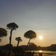 托马斯穆勒的个人资料头像