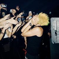 俊俏荷叶6T9头像