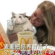 挪威意式淡奶盖的个人资料头像