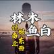 林木鱼白暂时停更头像