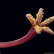 ZB的个人资料头像