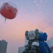 Boy675的个人资料头像