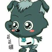 小火鸡的个人资料头像