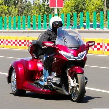 茫然184300706头像