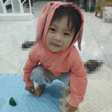 若水梧桐245头像