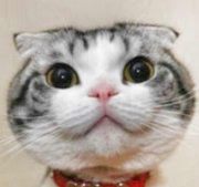 不要说话君29983的个人资料头像