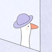 hiii的个人资料头像