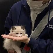 用户5195006962755的个人资料头像