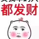楚龙车行陈生 · 朗境车主·车龄10年头像