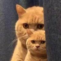 用户6879715520837头像