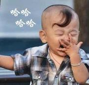 徘徊的个人资料头像