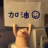 QY小狮子头像