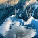 Who的个人资料头像