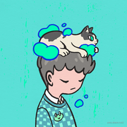 观南_的个人资料头像