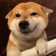 Sison的个人资料头像