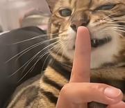 用户1173981397695的个人资料头像