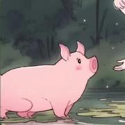 Summer147的个人资料头像