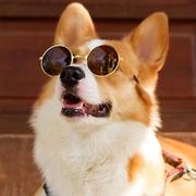 木木479的个人资料头像