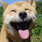 大Big东头像