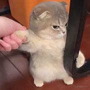 徐小厨的个人资料头像