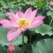 easyHaipier的个人资料头像