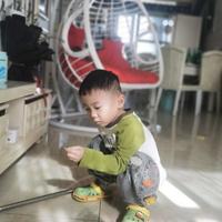 团哥蛋仔驾到头像