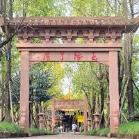 普洱咖啡加点糖头像