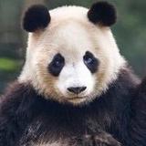 多才多艺豆浆9Mf头像