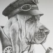 明码实架的个人资料头像