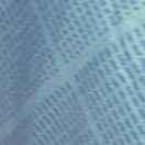 鹤鹤的个人资料头像