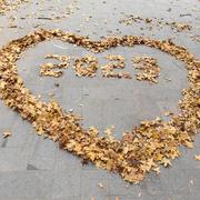 乱窜的goroutine的个人资料头像