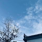 柠檬学长头像