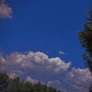 林间有风的个人资料头像