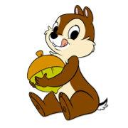 松鼠闹IT的个人资料头像