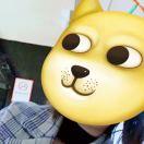 Youth的个人资料头像