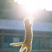 码路漫漫的个人资料头像