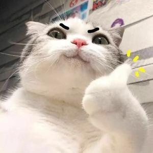 冷瑶头像