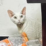 nic的风风光头像