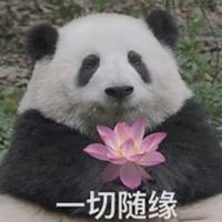 老公腹肌借我埋一下头像