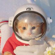 Gufra_bollom的个人资料头像