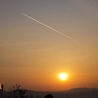 神秘蜻蜓3qc头像