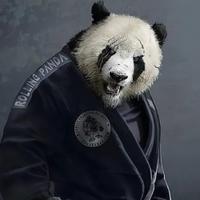 00天降雄狮00头像