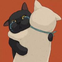四月的猫i头像