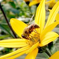 来 ! 一杯酒头像