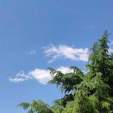 亲切星空8A2头像