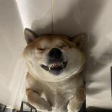 维周之翰allroad头像