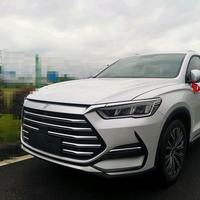 明月光头兔头像