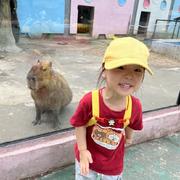 一嘚啷的个人资料头像