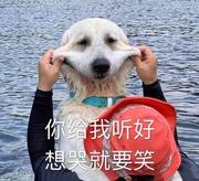 蒲松龄的个人资料头像